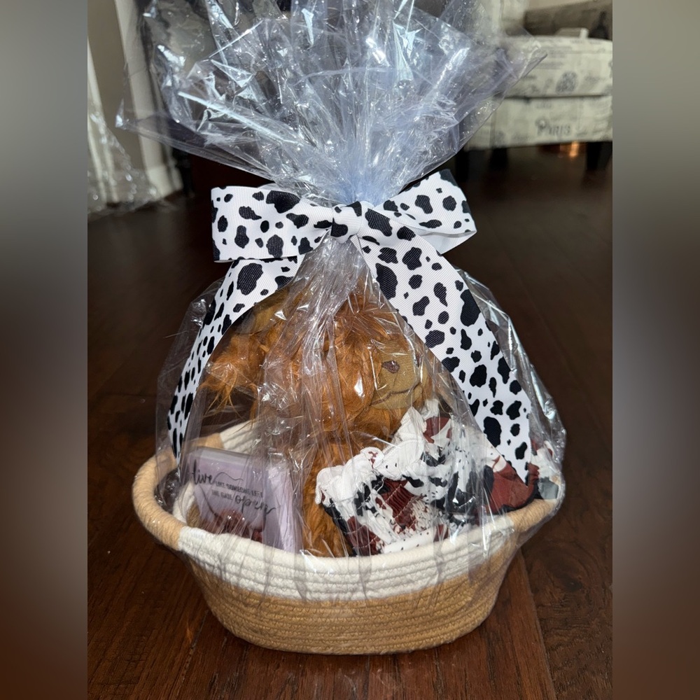 Rodeo Longhorn Cowgirl Themed Baby Gift Basket